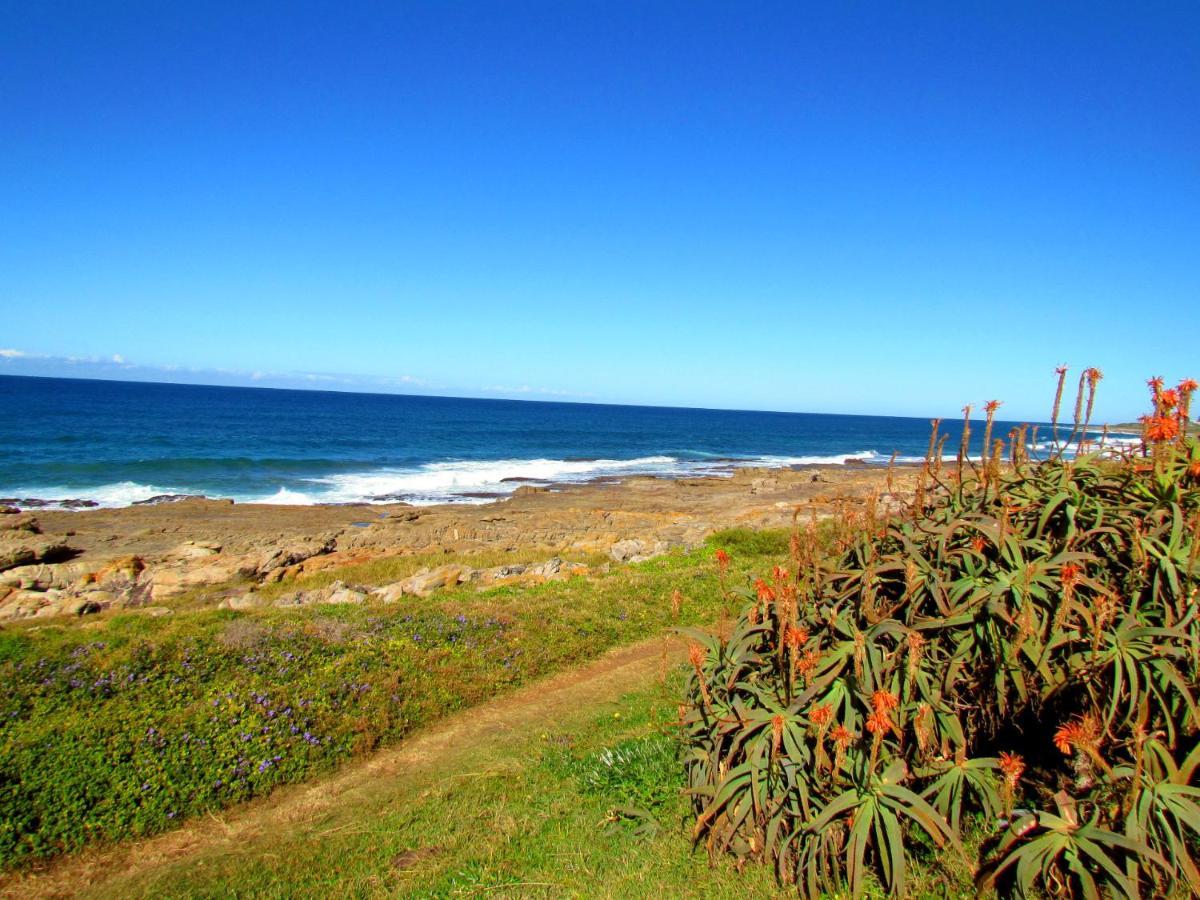 Mountjoy Guest Lodge Margate Esterno foto